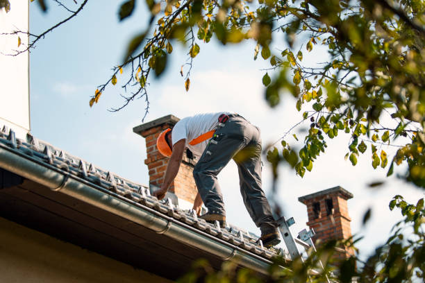 Professional Roofing Services in North Shore, CA