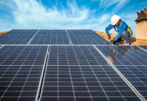 Best Roof Moss and Algae Removal  in North Shore, CA