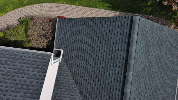 Best Solar Panel Roofing Installation  in North Shore, CA